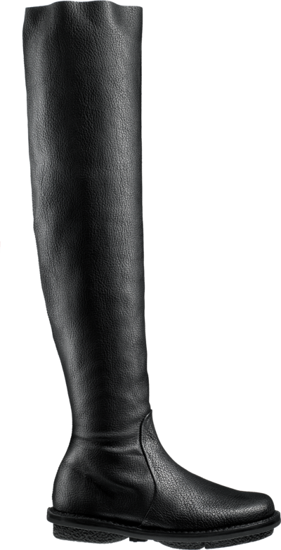 black-wab