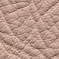 mfl apricot