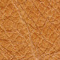 bat apricot