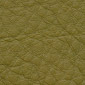 sft olive