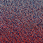 str poppyfield