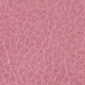 waw rosa
