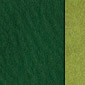 dpw green